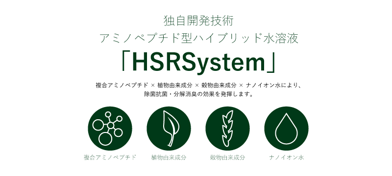 HSRSystem