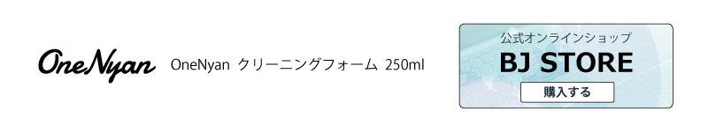  OneNyan クリーニングフォーム